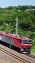 EH500-901 貨物列車