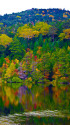 白駒池・湖面に映る紅葉