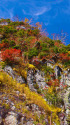 立山・大観峰の紅葉