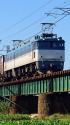 EF81 501貨物列車