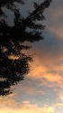 夕刻のシルエット