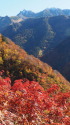 槍と紅葉