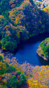 竜神峡の紅葉