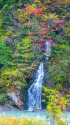 紅葉の手取峡谷