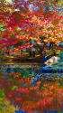 小石川後楽園・内庭の紅葉