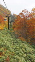 紅葉の栂池