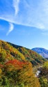 紅葉の白山麓