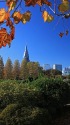 晩秋の新宿御苑