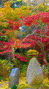 深秋の本土寺