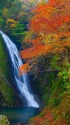紅葉の横谷峡鶏鳴滝