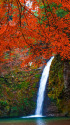 紅葉の横谷峡白滝