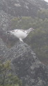 燕岳の雄雷鳥