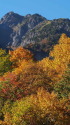 紅葉と笠ヶ岳