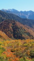 小池新道の紅葉
