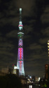 Sky Tree Special Lighting 3