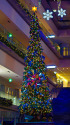 表参道ヒルズのXmas