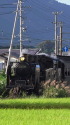 金谷に帰るSL急行