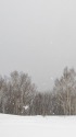 雪の舞う日