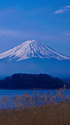 富士山・河口湖より