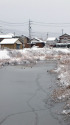 初雪の朝