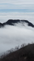 雲海に埋まる有明山
