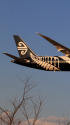 B787-9 ZK-NZF