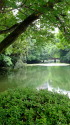 緑あふれる栗林公園