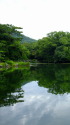 緑あふれる栗林公園