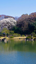 春の六義園