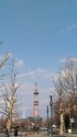春が来た大通公園