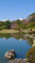 六義園・大泉水と日本庭園