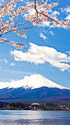 春の富士山