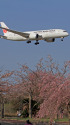 B787 JA826J