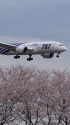 B787 JA802A
