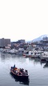 春の運河を行く