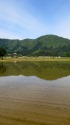 田植えの頃