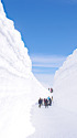 室堂・雪の回廊