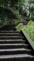 緑の中の石段