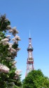 ライラック咲く大通公園