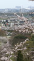前田公園にて