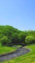 森林浴のすすめ