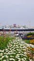 横浜 山下公園