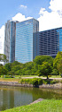 浜離宮庭園と高層ビル群