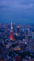 東京トワイライト