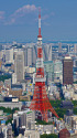 東京シティビュー 東京タワー