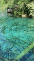 九寨溝・五花海