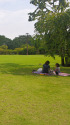 等々力渓谷の日本庭園
