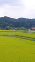千葉・市原の田園風景