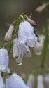雨に濡れて