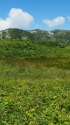 双六岳を望む